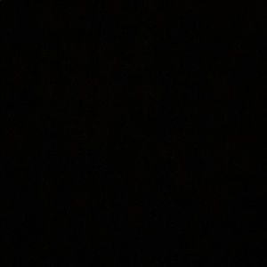 Meet your Posher, Iris